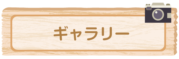 ギャラリー